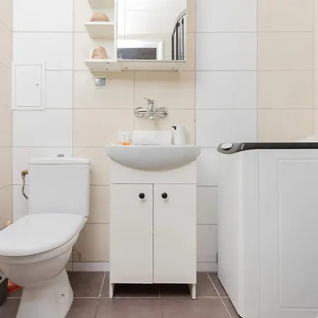 Apartment Totu Necla Centrum *