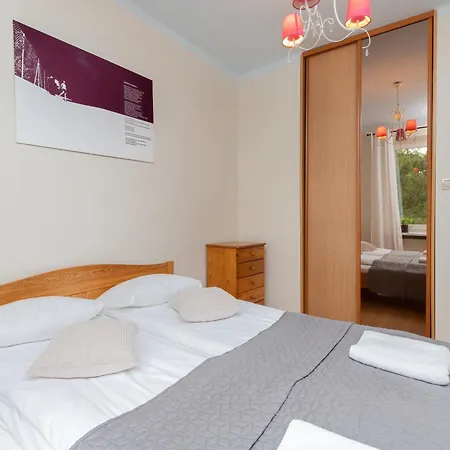 Apartment Totu Necla Centrum